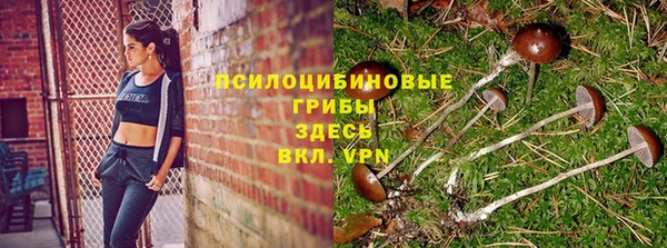 тгк Липки